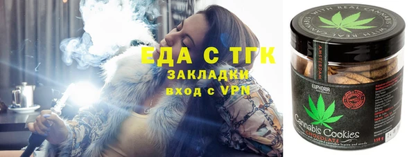 молекула духа Богданович