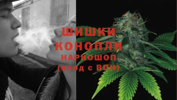 молекула духа Богданович