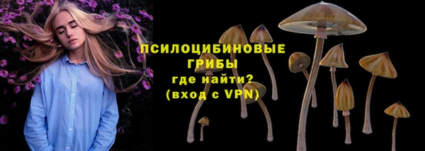 прущие крисы Богородск