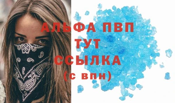 молекула духа Богданович