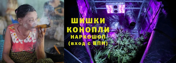 молекула духа Богданович