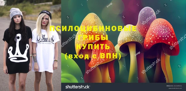 молекула духа Богданович