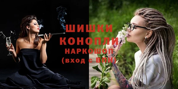 молекула духа Богданович