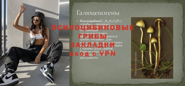 молекула духа Богданович