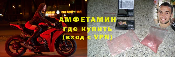 молекула духа Богданович