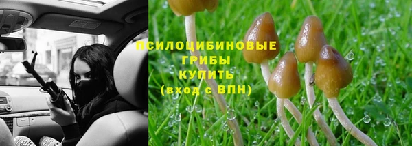 мет Богородицк