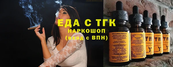молекула духа Богданович