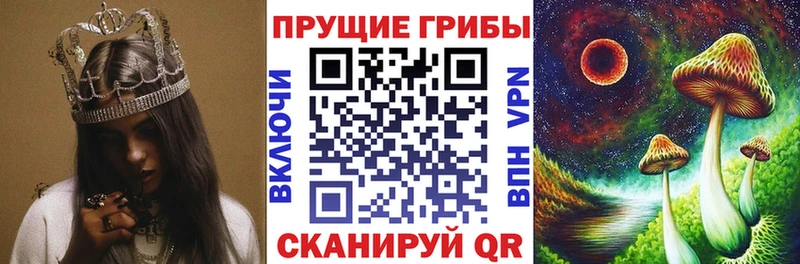 Псилоцибиновые грибы GOLDEN TEACHER  Кирсанов 
